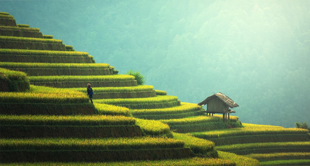 龙脊梯田 · Longji Rice Terraces