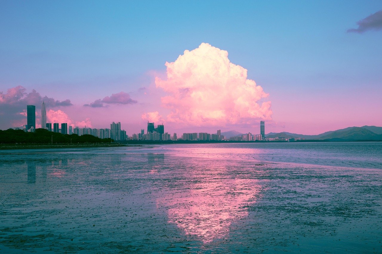 深圳湾粉云晚霞 · Pink Dusk over Shenzhen Bay